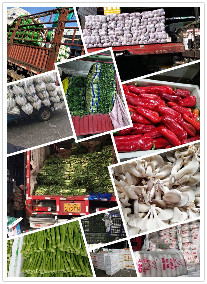 首页| PA视讯集团中国官方网站