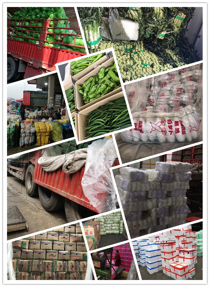 首页| PA视讯集团中国官方网站