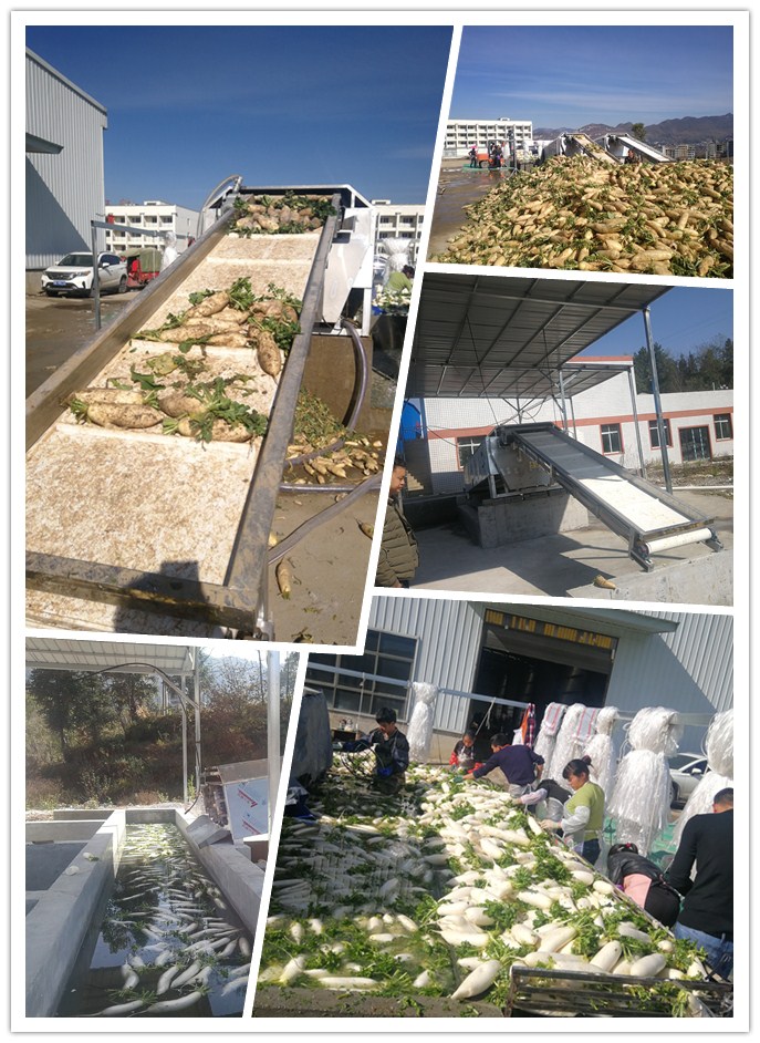 首页| PA视讯集团中国官方网站