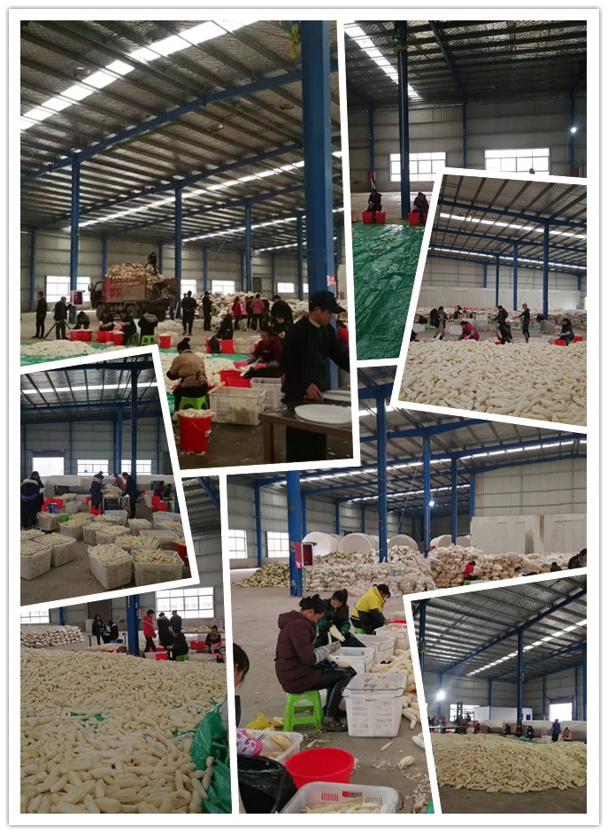 首页| PA视讯集团中国官方网站