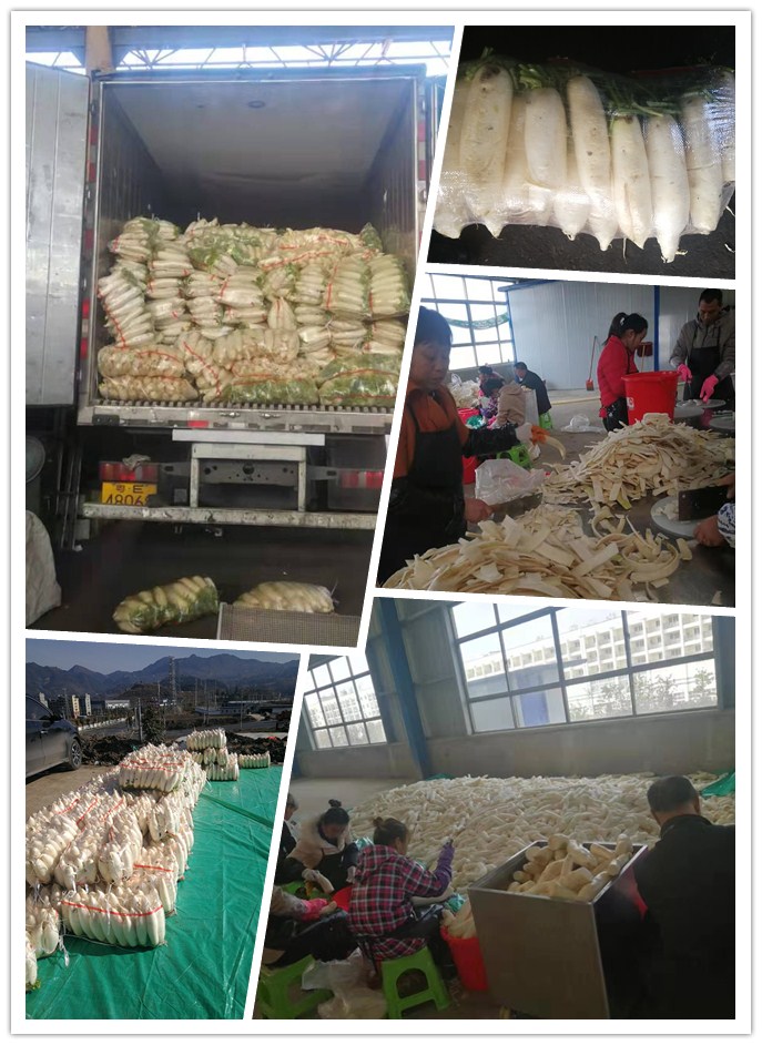 首页| PA视讯集团中国官方网站