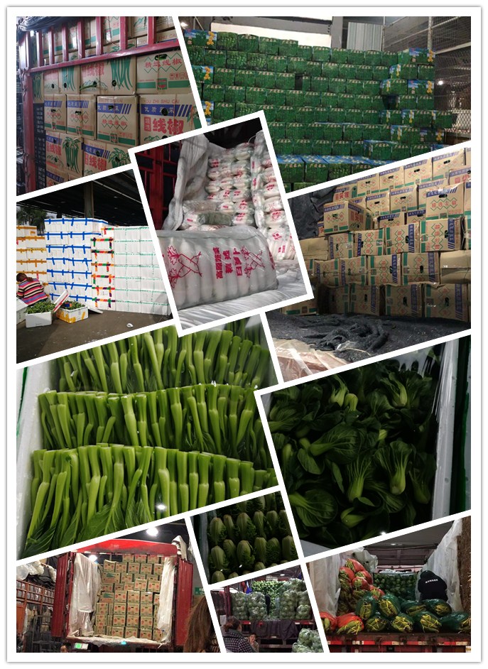 首页| PA视讯集团中国官方网站