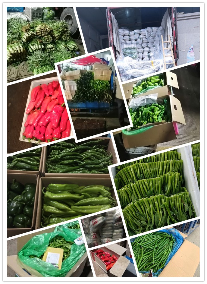 首页| PA视讯集团中国官方网站