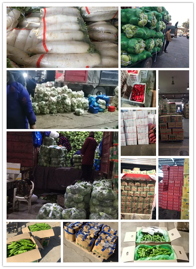 首页| PA视讯集团中国官方网站