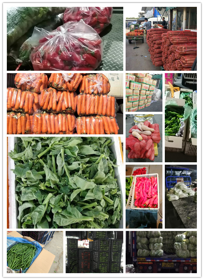 首页| PA视讯集团中国官方网站