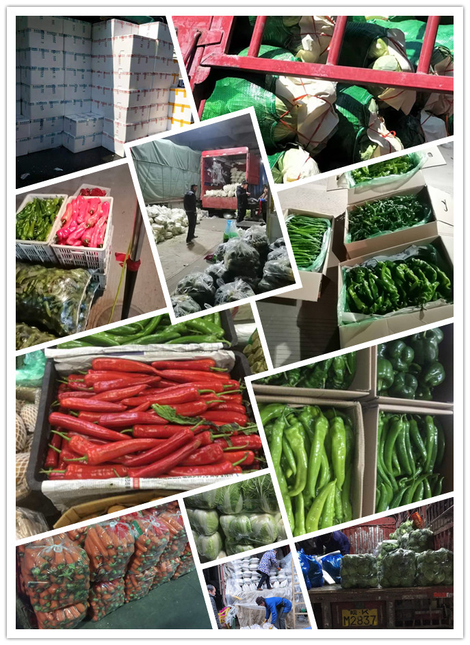 首页| PA视讯集团中国官方网站