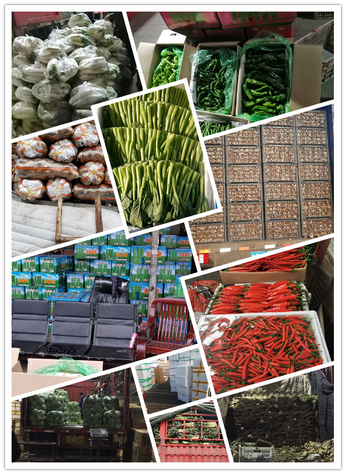 首页| PA视讯集团中国官方网站