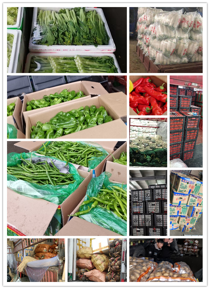 首页| PA视讯集团中国官方网站