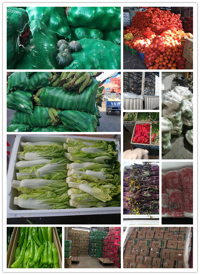 首页| PA视讯集团中国官方网站