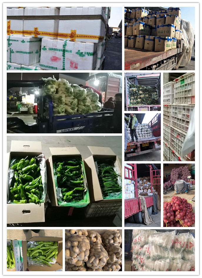 首页| PA视讯集团中国官方网站