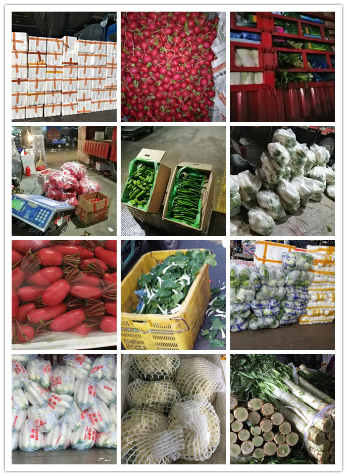 首页| PA视讯集团中国官方网站