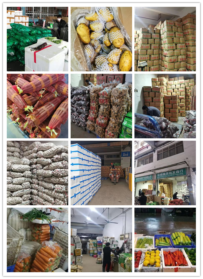 首页| PA视讯集团中国官方网站