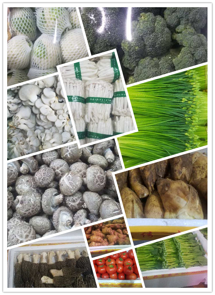 首页| PA视讯集团中国官方网站