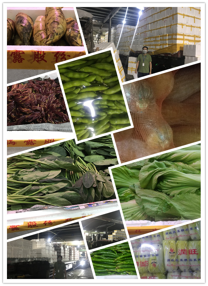 首页| PA视讯集团中国官方网站