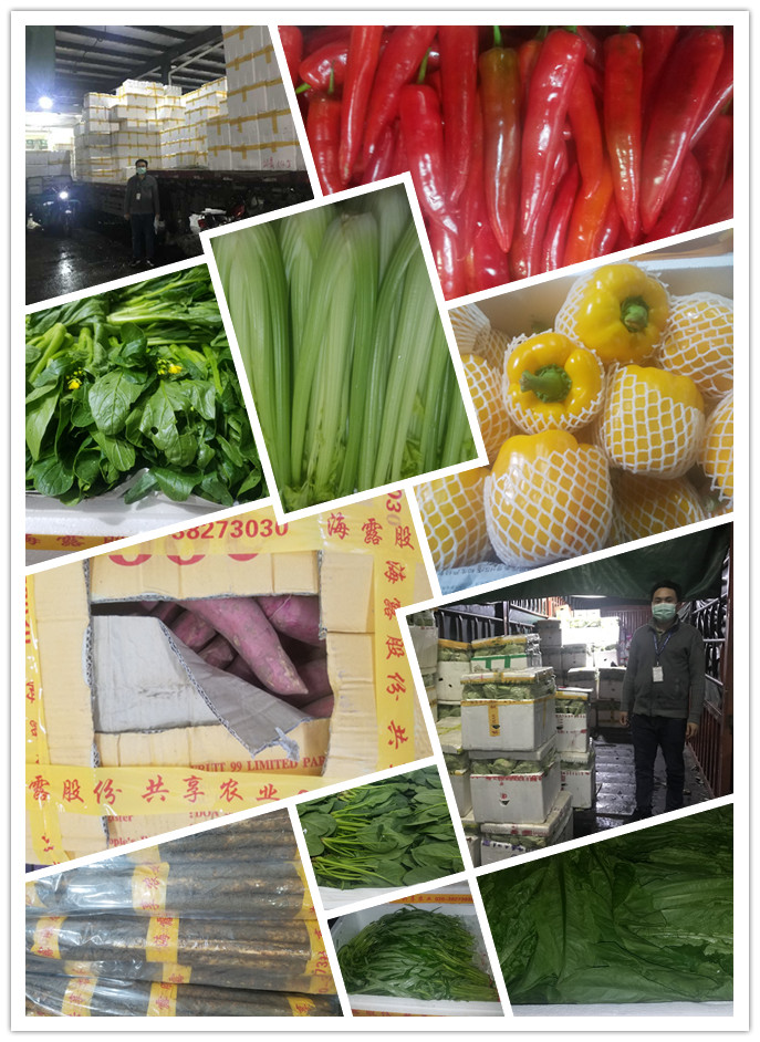 首页| PA视讯集团中国官方网站