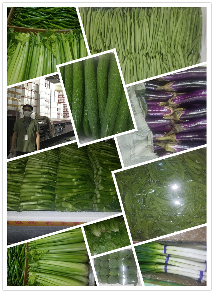 首页| PA视讯集团中国官方网站