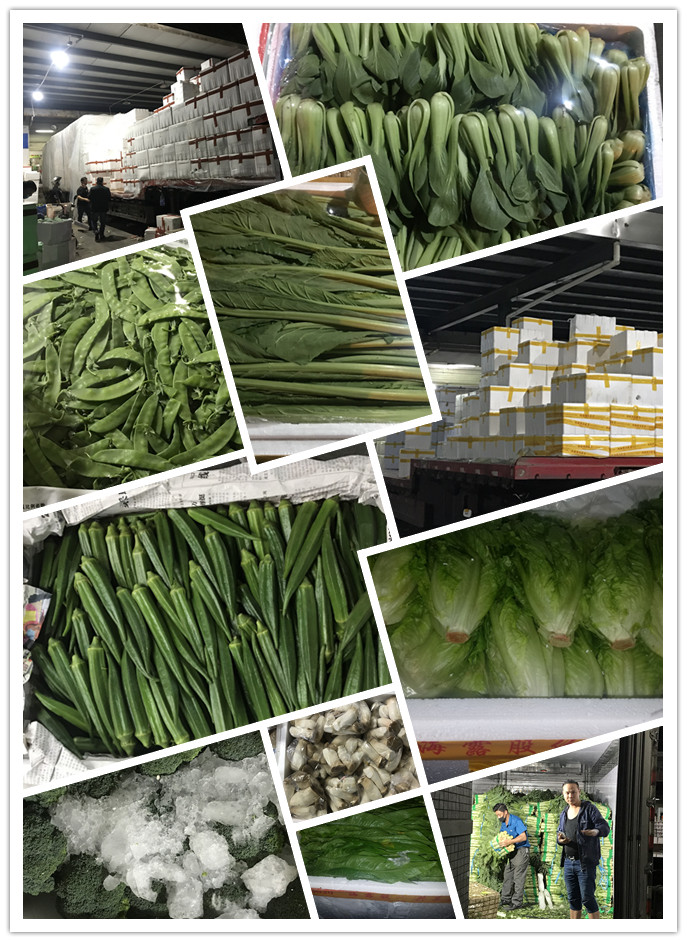 首页| PA视讯集团中国官方网站