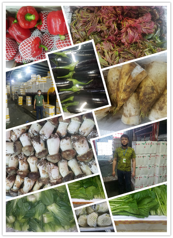 首页| PA视讯集团中国官方网站