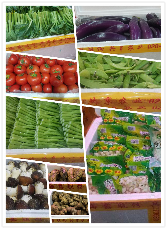 首页| PA视讯集团中国官方网站