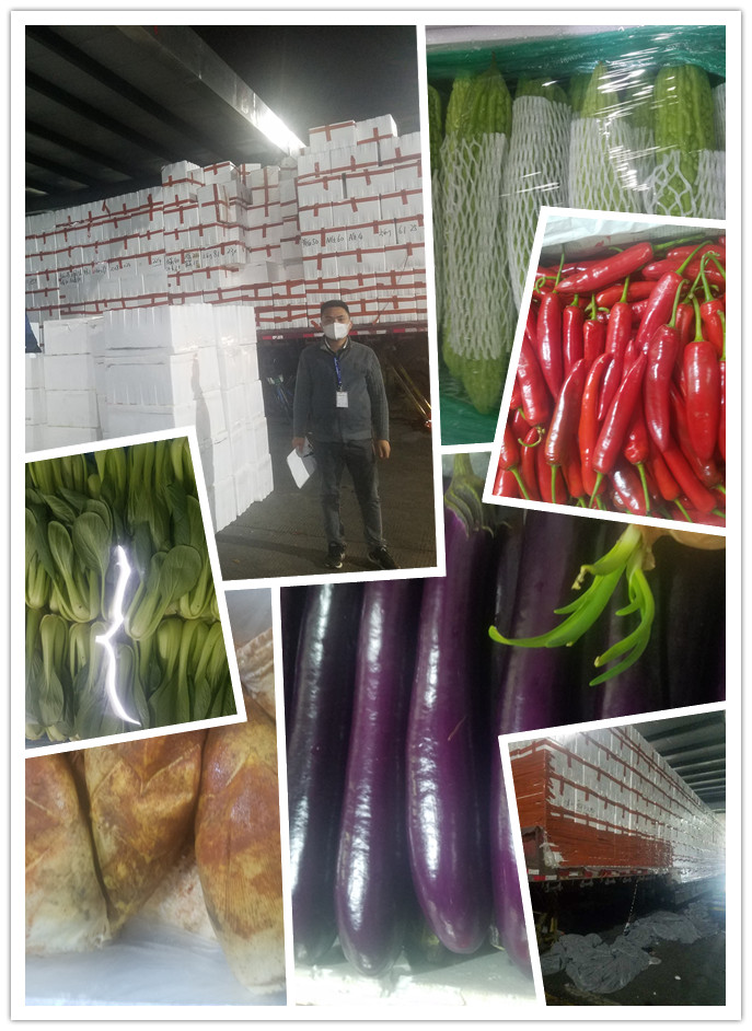 首页| PA视讯集团中国官方网站