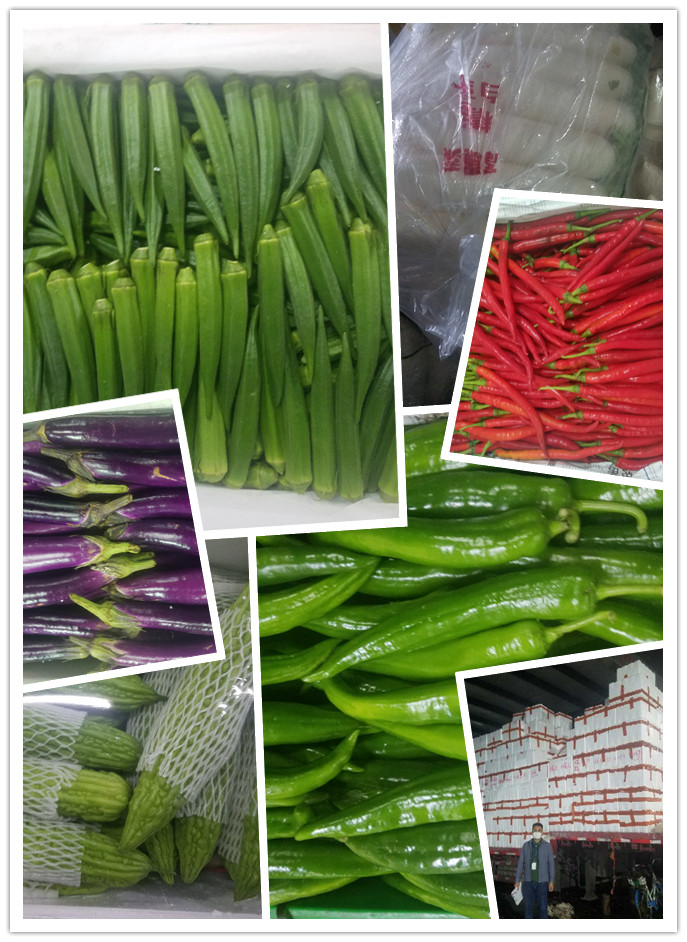 首页| PA视讯集团中国官方网站