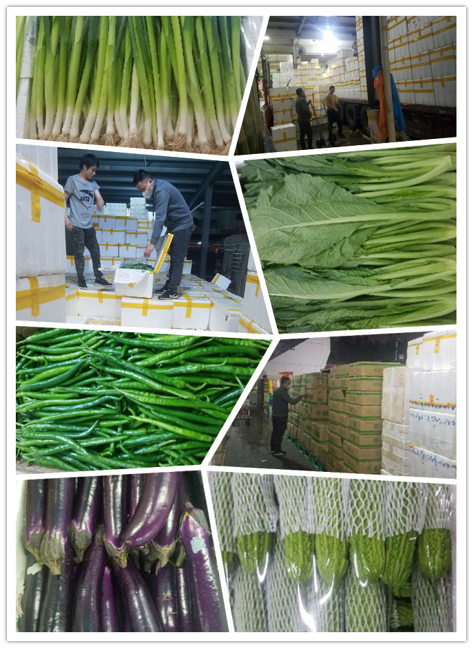 首页| PA视讯集团中国官方网站