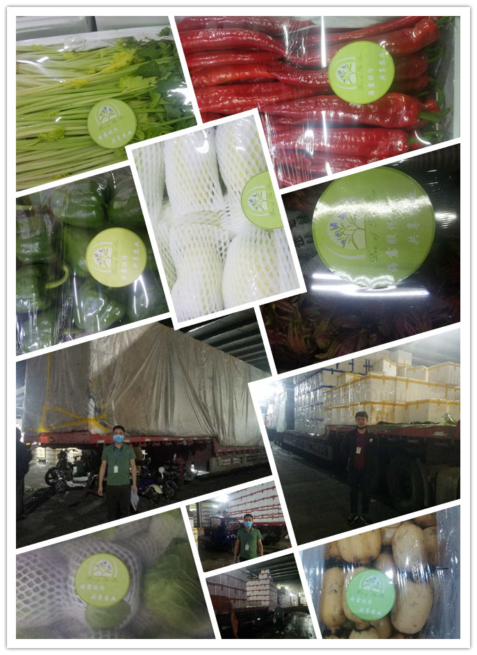 首页| PA视讯集团中国官方网站