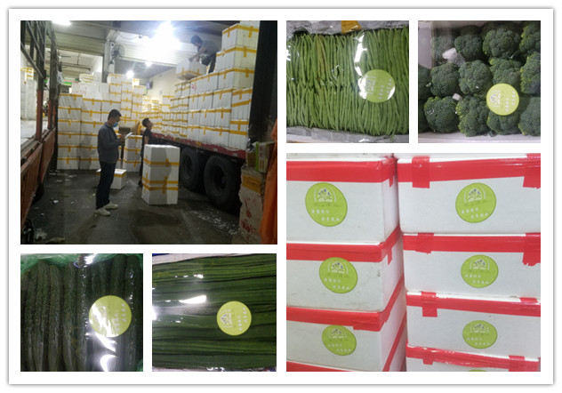 首页| PA视讯集团中国官方网站