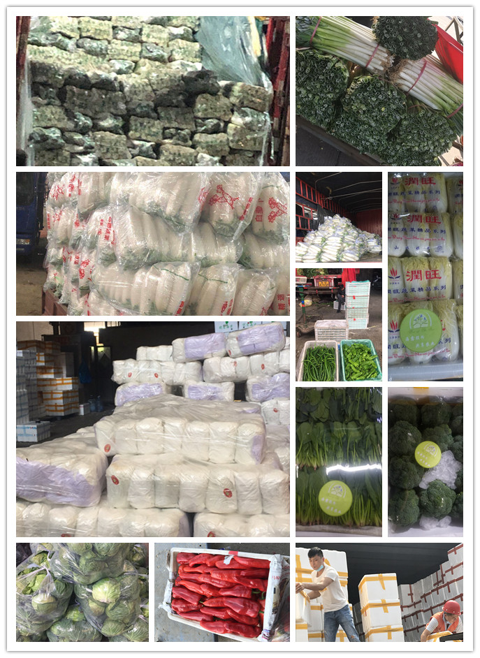 首页| PA视讯集团中国官方网站