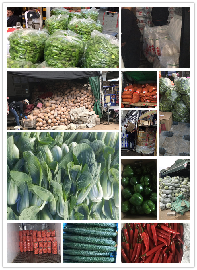 首页| PA视讯集团中国官方网站