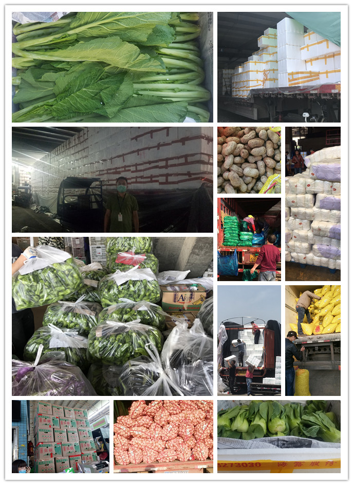 首页| PA视讯集团中国官方网站