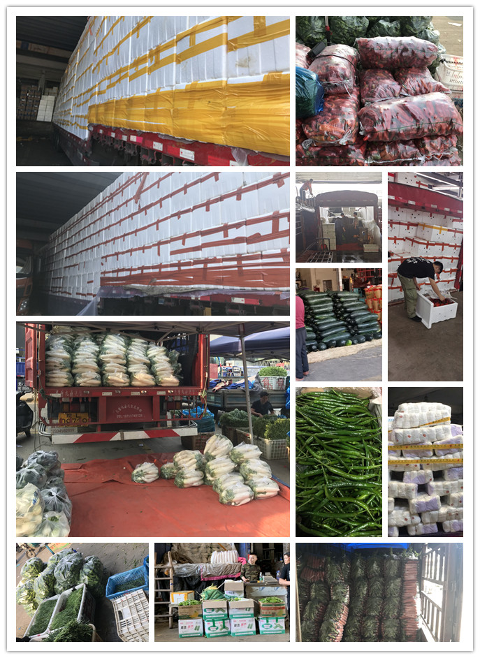 首页| PA视讯集团中国官方网站