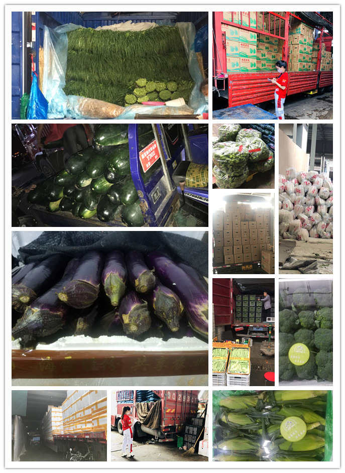 首页| PA视讯集团中国官方网站