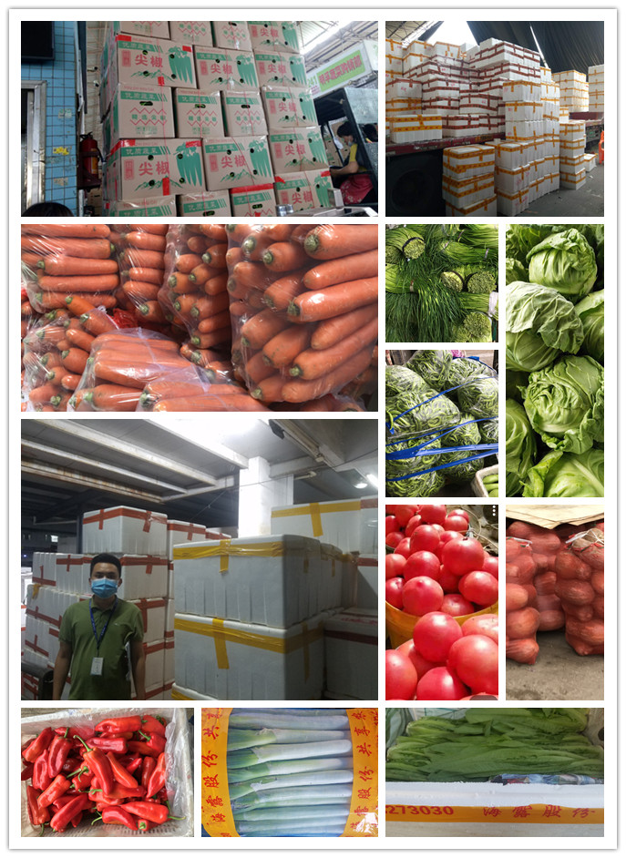 首页| PA视讯集团中国官方网站