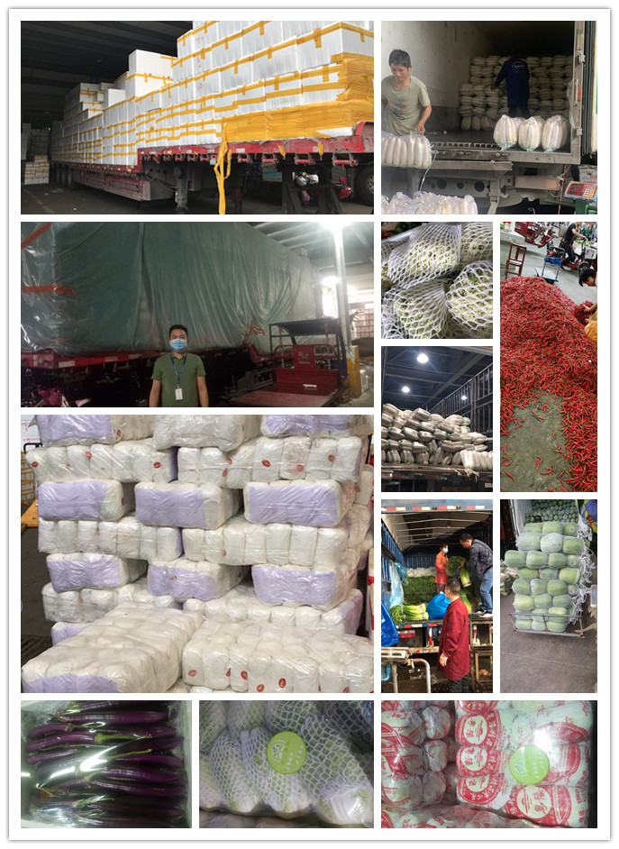 首页| PA视讯集团中国官方网站