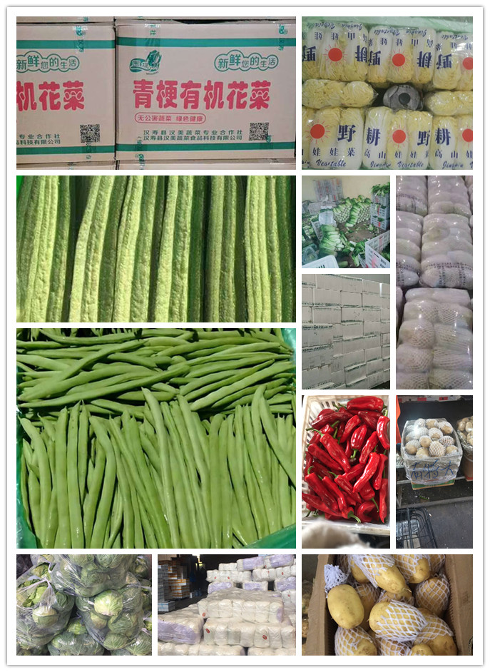 首页| PA视讯集团中国官方网站