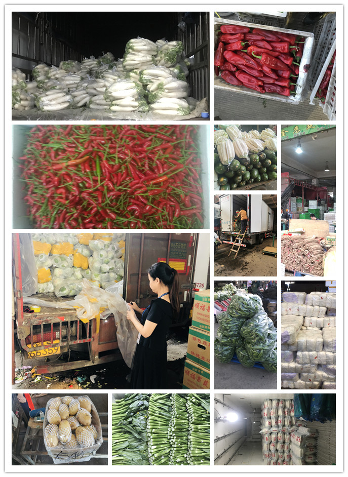 首页| PA视讯集团中国官方网站