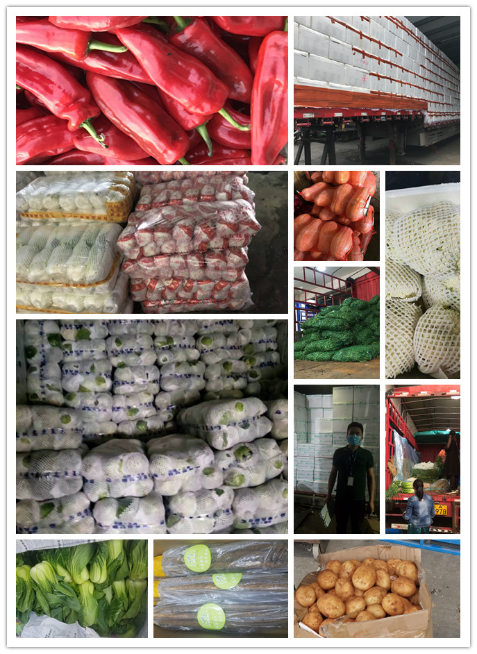 首页| PA视讯集团中国官方网站