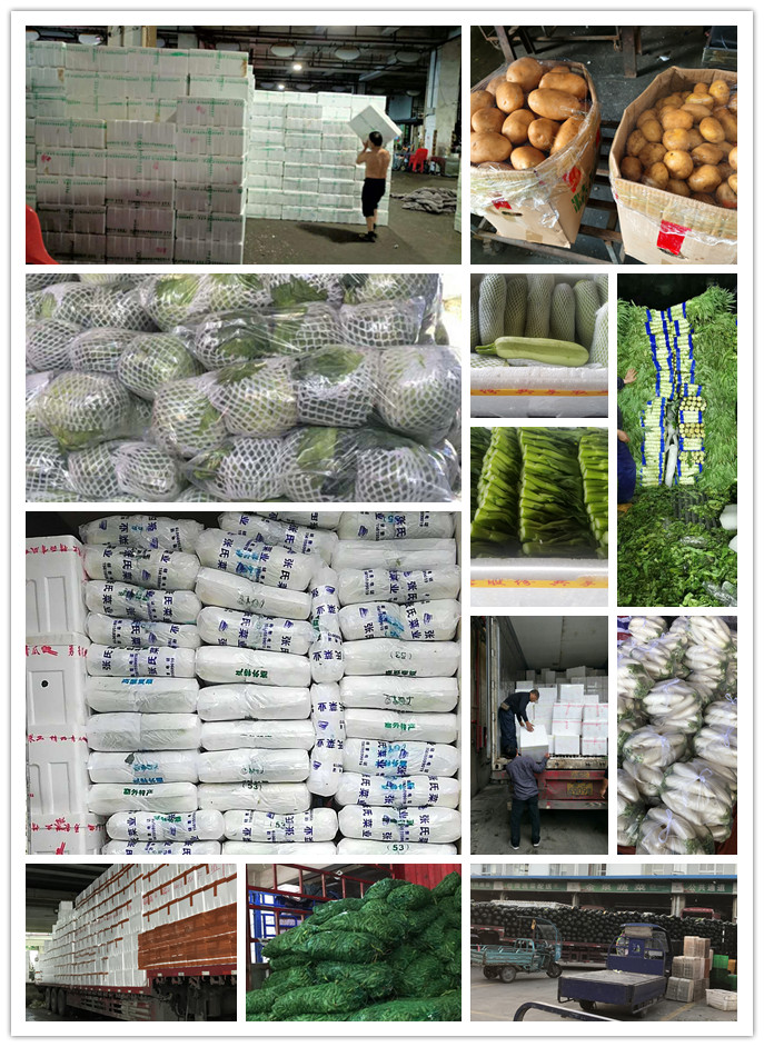 首页| PA视讯集团中国官方网站