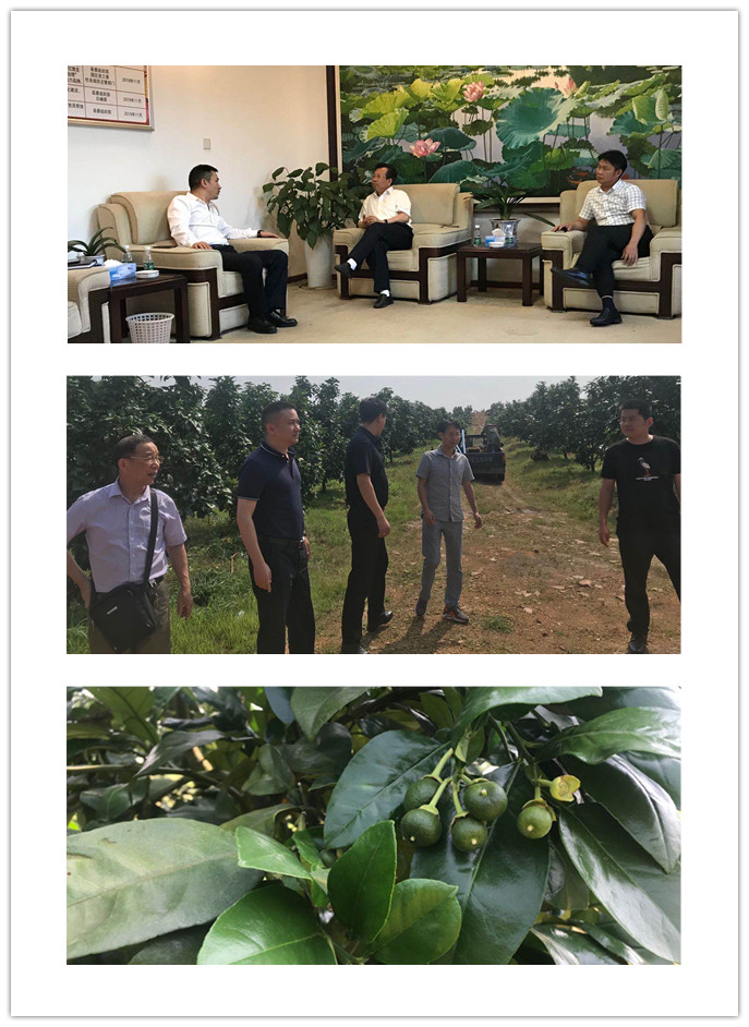 首页| PA视讯集团中国官方网站