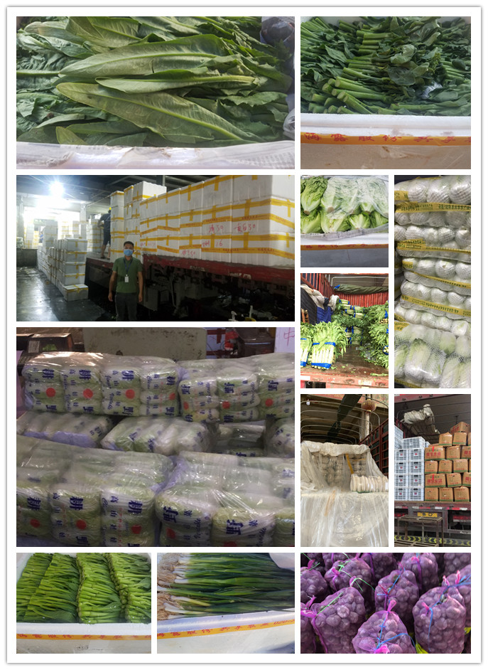 首页| PA视讯集团中国官方网站