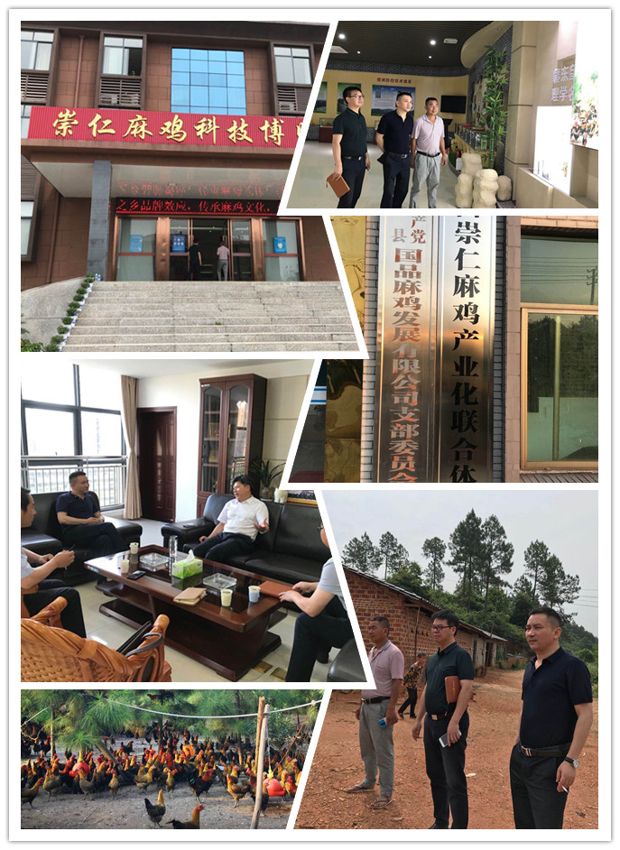 首页| PA视讯集团中国官方网站