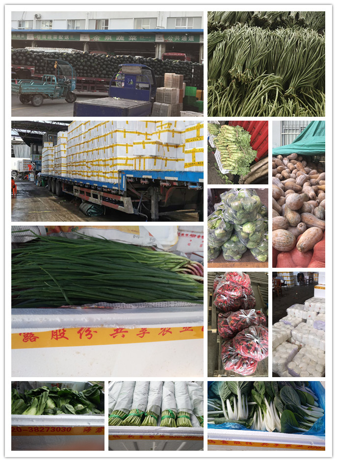 首页| PA视讯集团中国官方网站