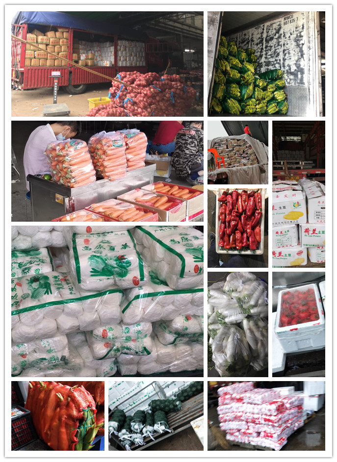 首页| PA视讯集团中国官方网站