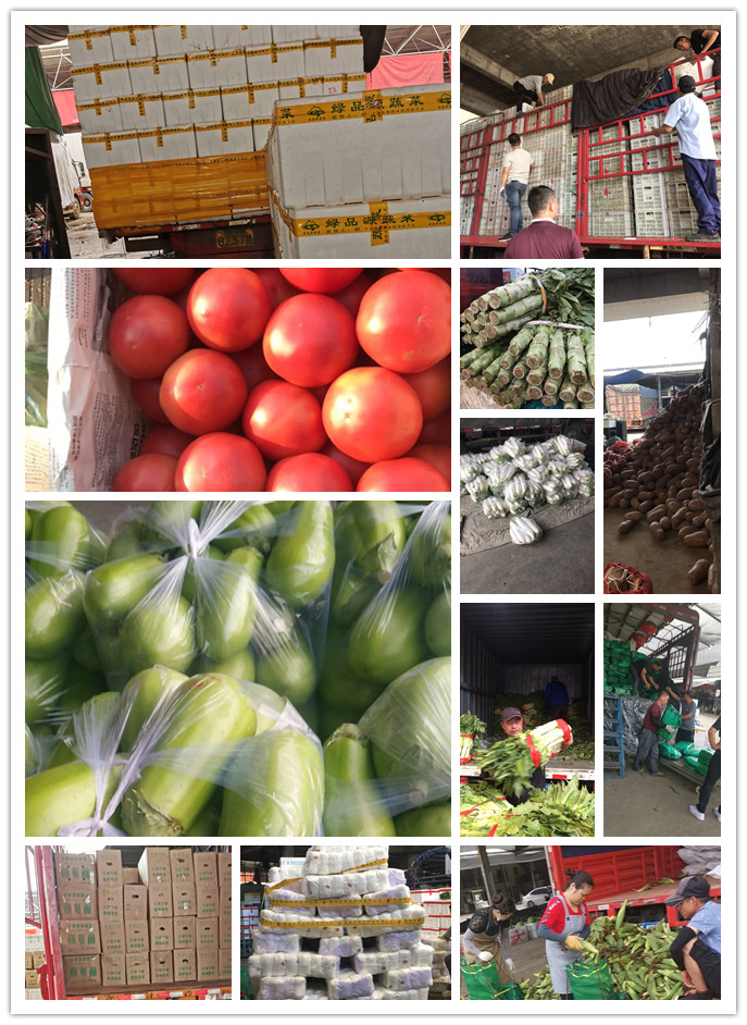 首页| PA视讯集团中国官方网站