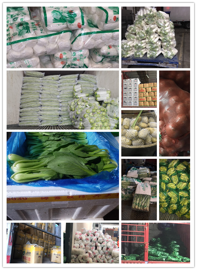 首页| PA视讯集团中国官方网站