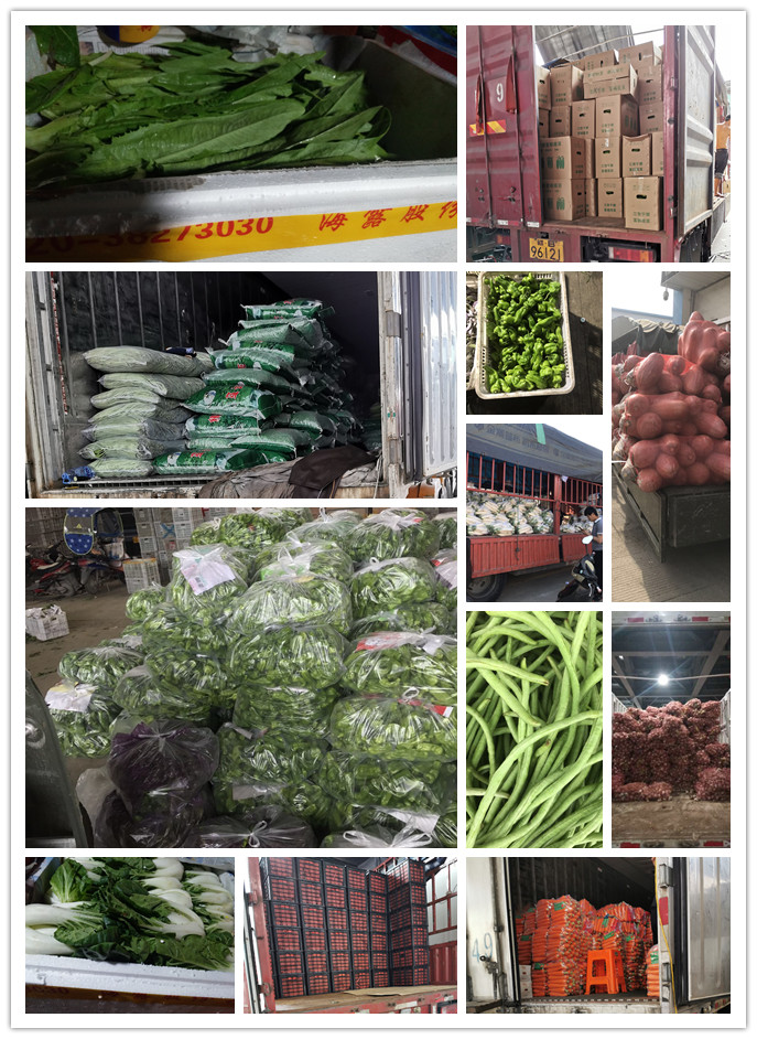 首页| PA视讯集团中国官方网站