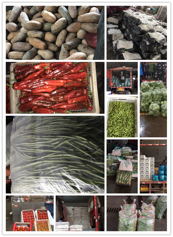 首页| PA视讯集团中国官方网站