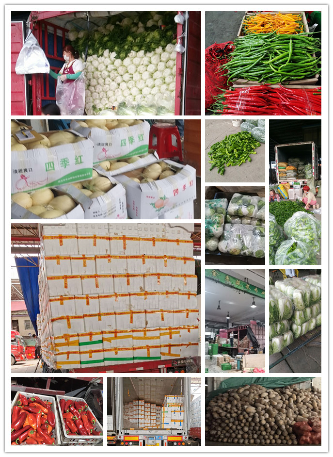 首页| PA视讯集团中国官方网站