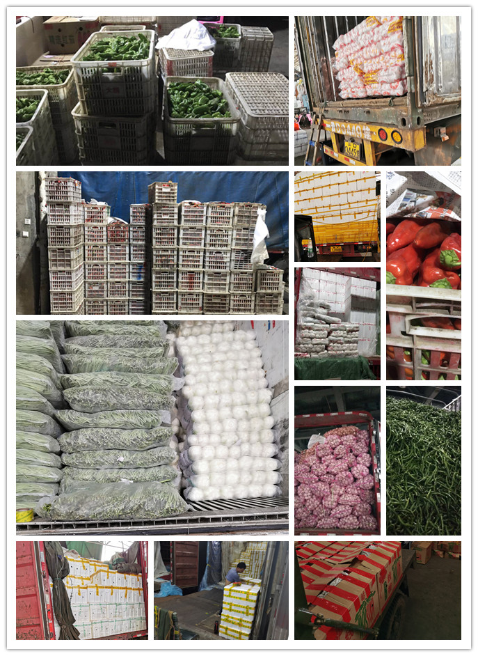 首页| PA视讯集团中国官方网站